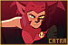  She-Ra and the Princesses of Power: Catra