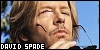 David Spade