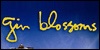 Gin Blossoms