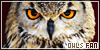Owls