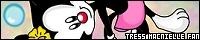 200x40 code
