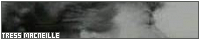 200x40 code