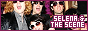 88x31 code
