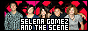 88x31 code