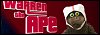 100x35 code