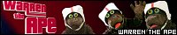 200x40 code