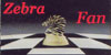 100x50 code