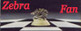 81x31 code