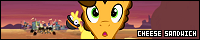 200x40 code