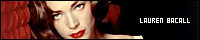 200x40 code