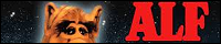 200x40 code