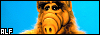 100x35 code