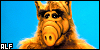 100x50 code