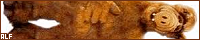 200x40 code