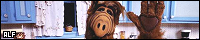 200x40 code