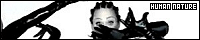 200x40 code