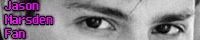 200x40 code