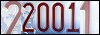 100x35 code