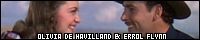 200x40 code