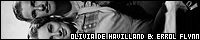 200x40 code