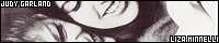 200x40 code