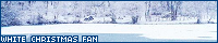 200x40 code
