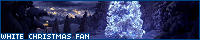 200x40 code