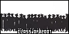 100x50 code