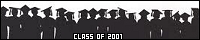 200x40 code