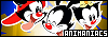 100x35 code