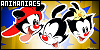 100x50 code