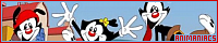 200x40 code