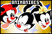 75x50 code