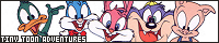 200x40 code