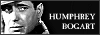 100x35 code