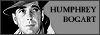 100x35 code