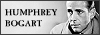 100x35 code