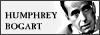 100x35 code