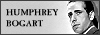 100x35 code