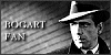 100x50 code