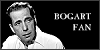 100x50 code