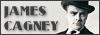 100x35 code