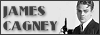 100x35 code