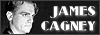 100x35 code