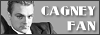 100x35 code