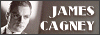 100x35 code