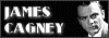 100x35 code