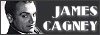 100x35 code