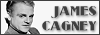 100x35 code