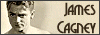 100x35 code
